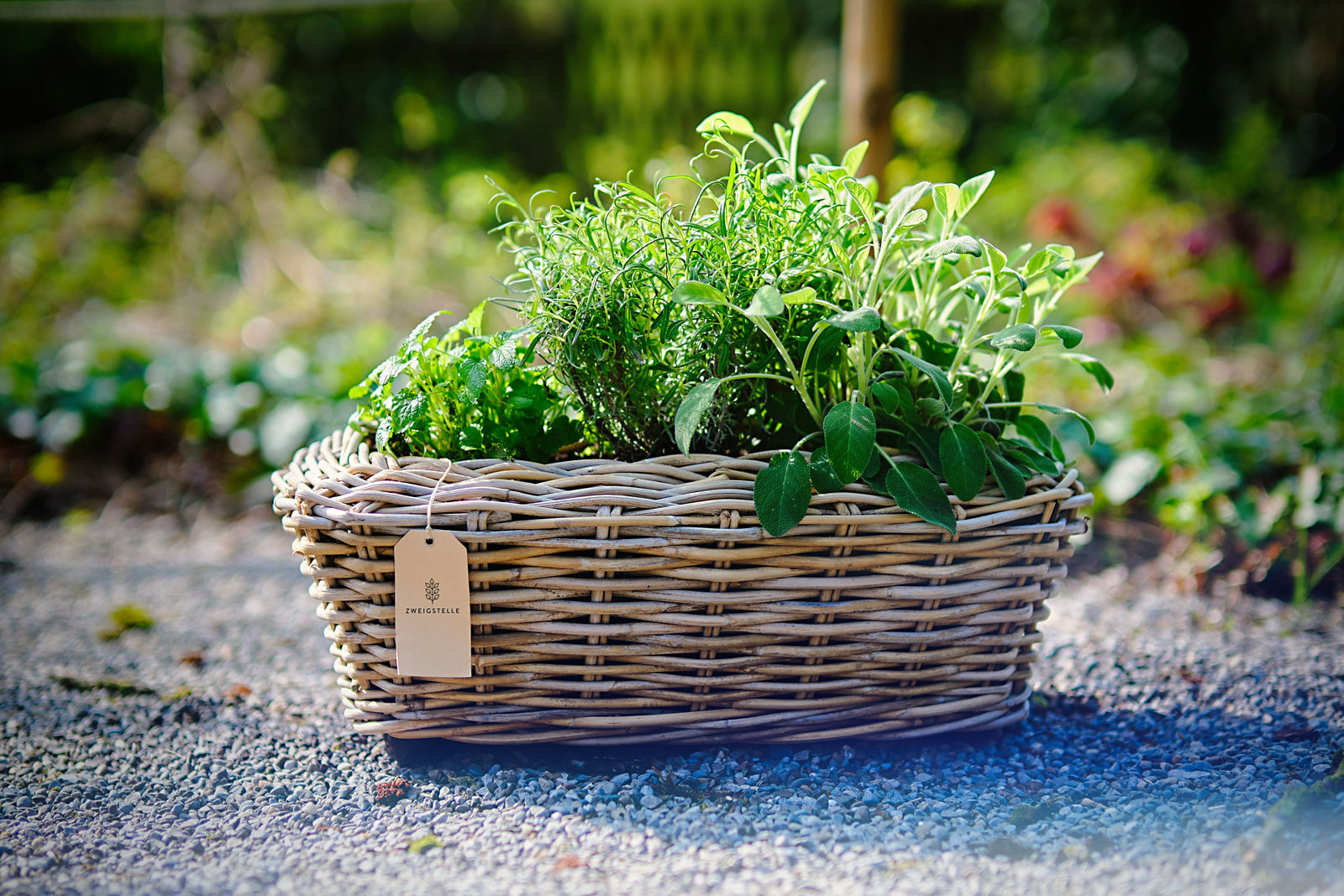 Gewusst wie: Kräuter trocknen